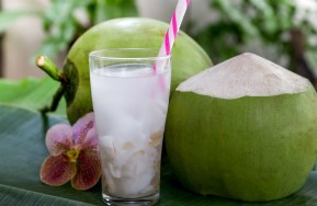 es kelapa muda merupakan bisnis minuman bulan ramadhan